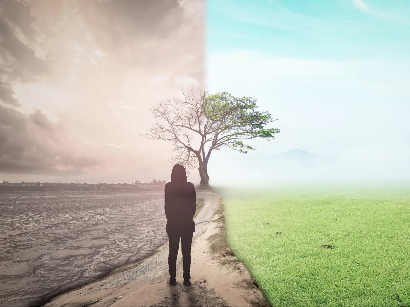 A person standing where a barren landscape gives way to a green field