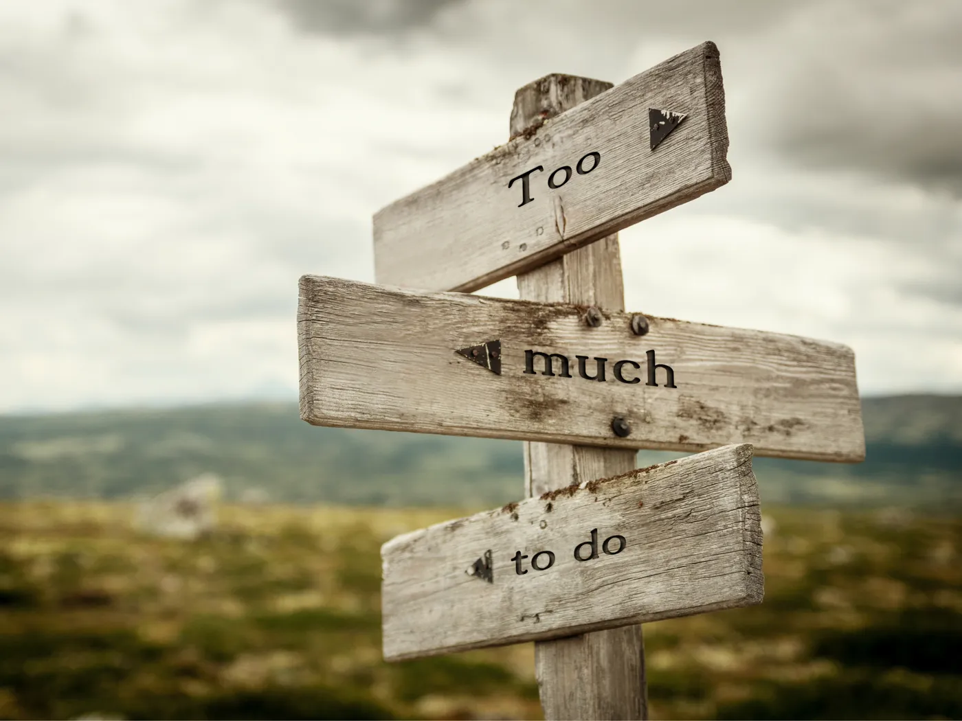 Weathered signposts pointing in different directions reading too much and to do