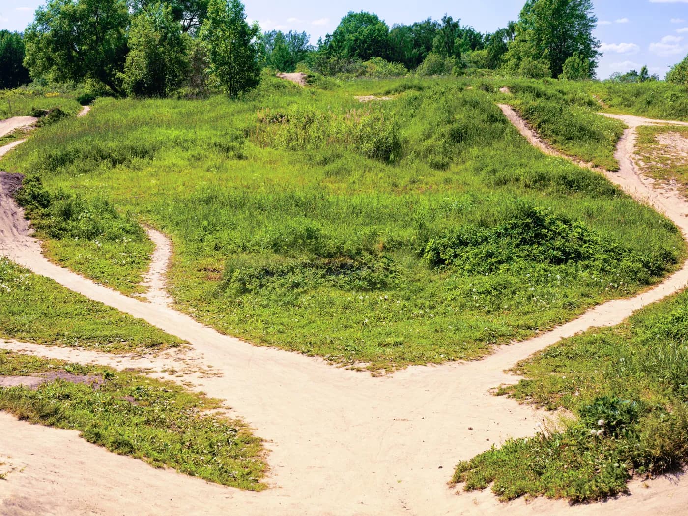 A sunlit landscape where several winding paths split in different directions